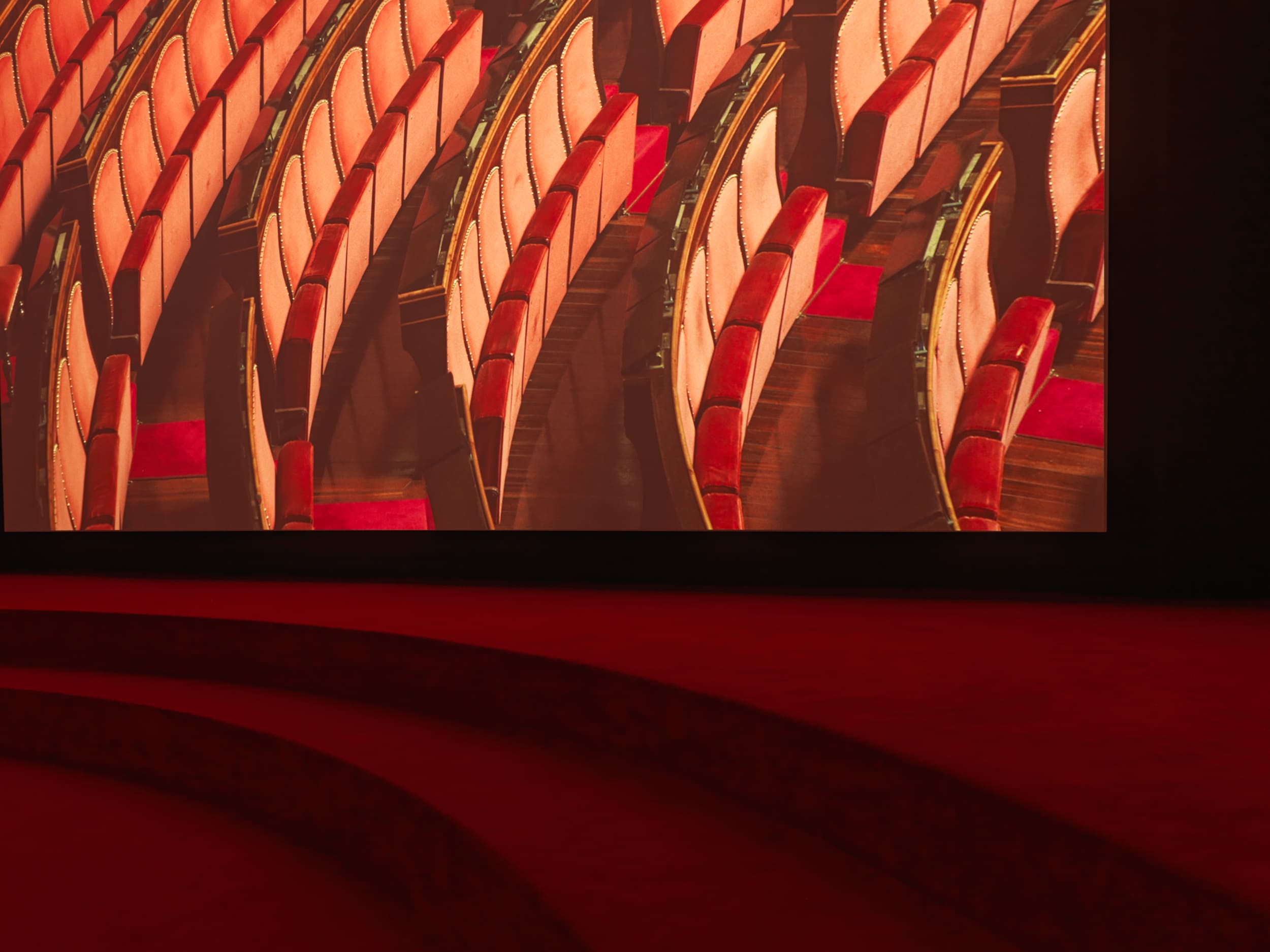 Angelica Mesiti, *ASSEMBLY*, Biennale Arte Venice - Exhibition design (2019)